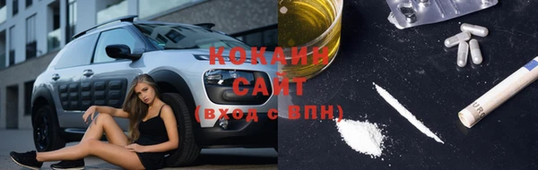 СК Богородск