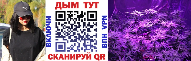 Конопля VHQ Трубчевск